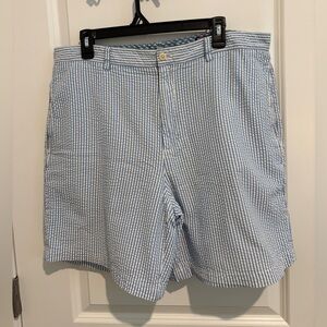 Blue and White Striped Shorts